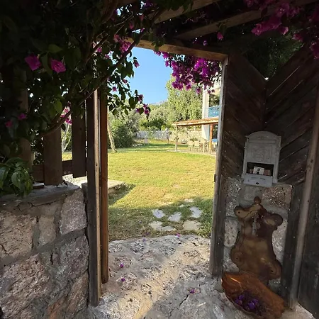 Faralyus Villa *