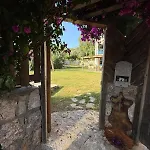 Faralyus Villa *
