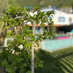 Faralyus Villa
