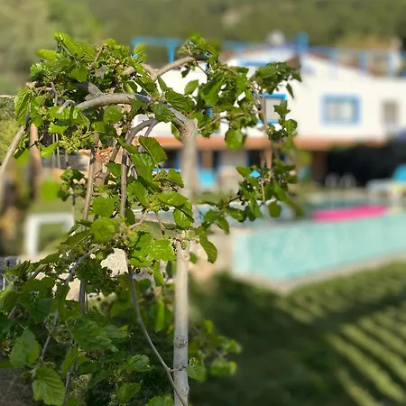 Faralyus Villa