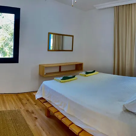 וילה Faralyus פאטהיה