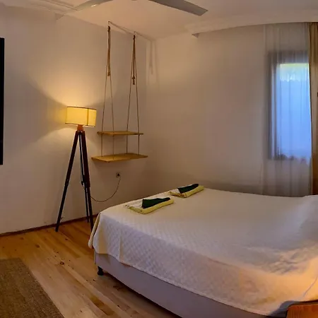 Faralyus פאטהיה