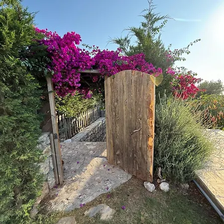 Faralyus Villa *